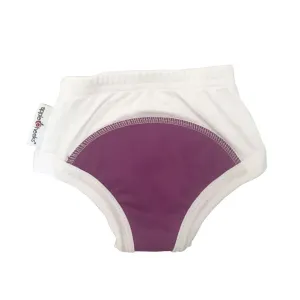 AppleCheeks Learning Pants * New Version* - Fairy Dust