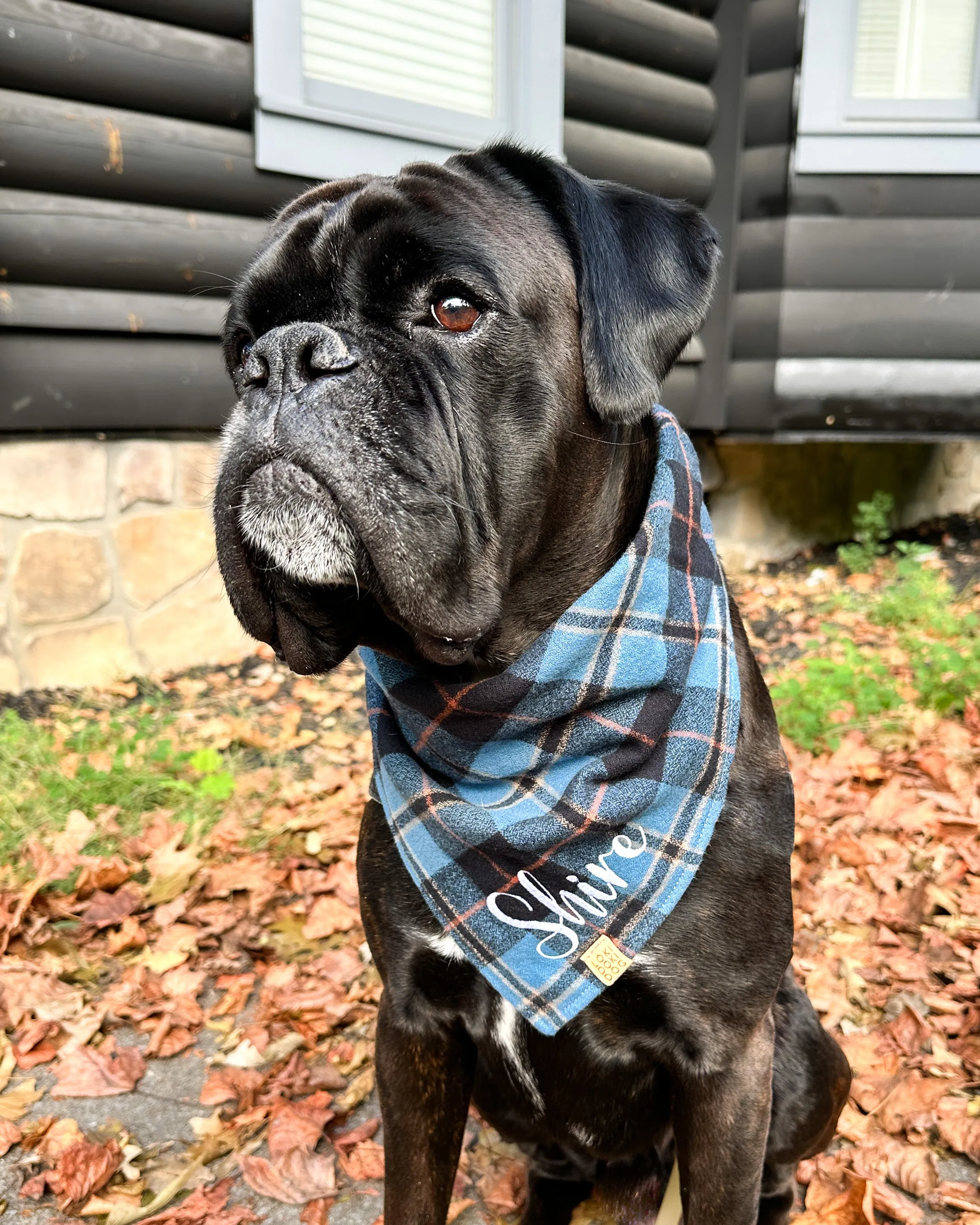 Autumn Skies Flannel Plaid Dog Bandana (Personalization Available)