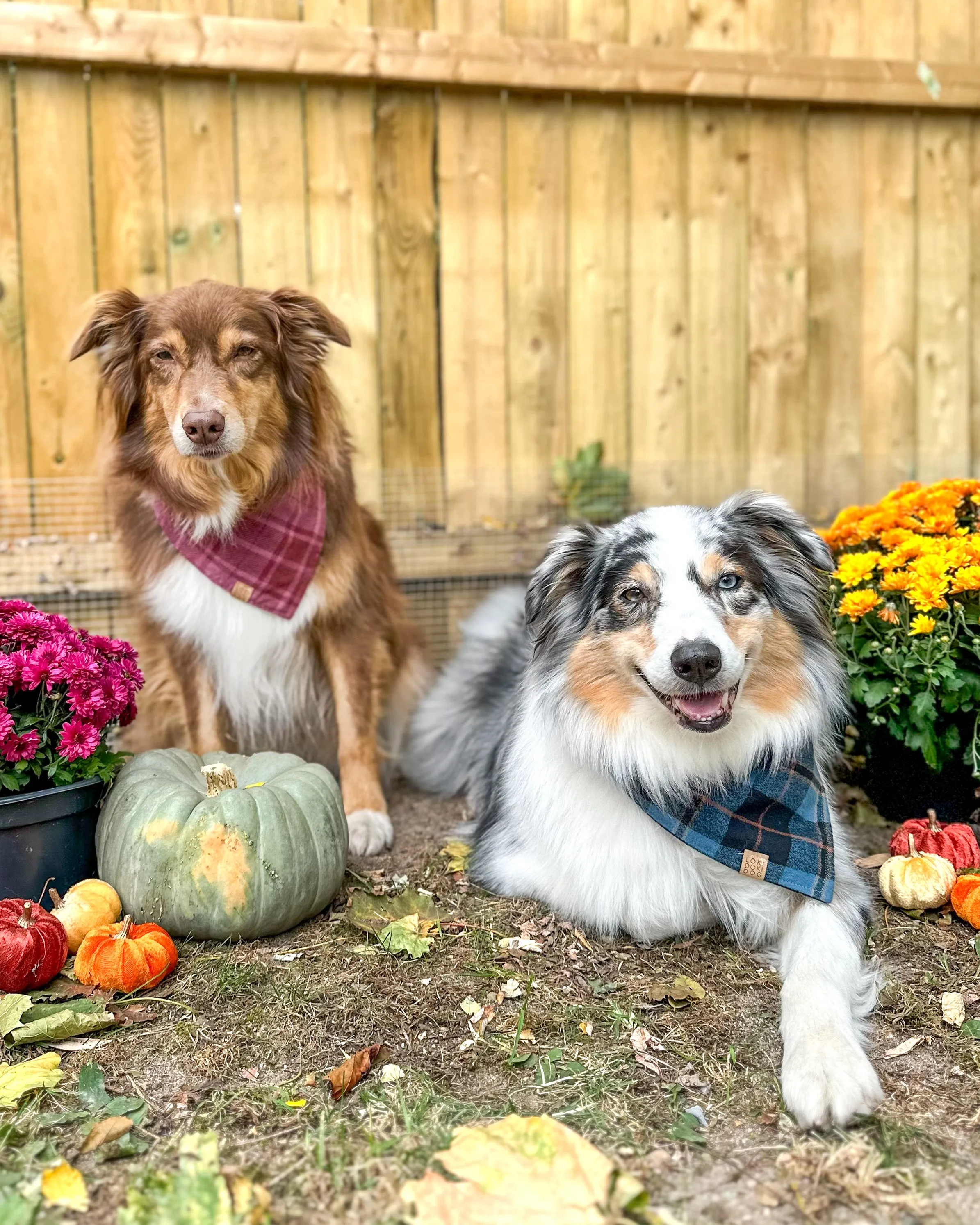 Autumn Skies Flannel Plaid Dog Bandana (Personalization Available)