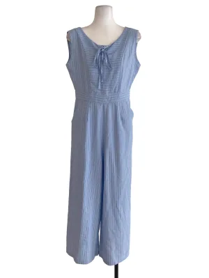 Blue Striped Jumpsuits
