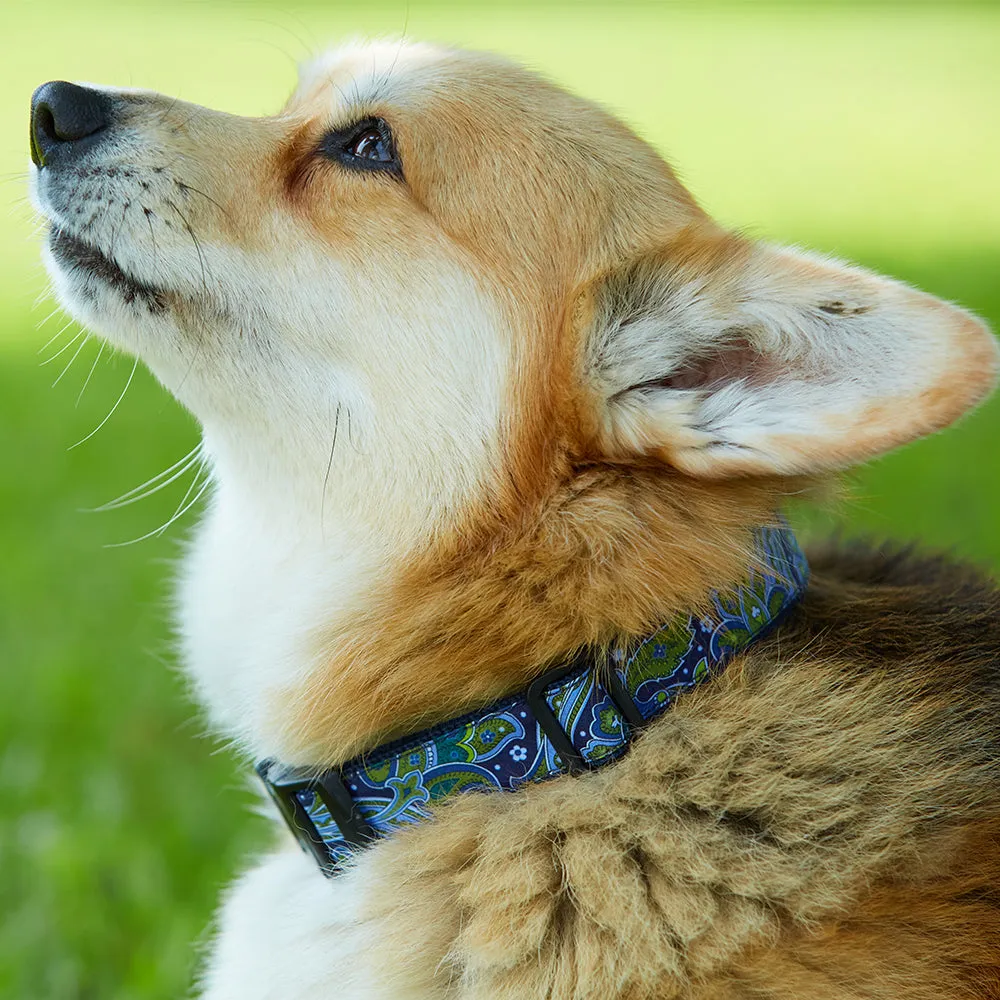 Crestone Peak - Dog Collar