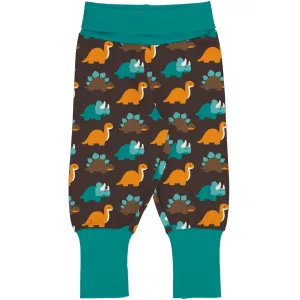 Dinosaurs Rib Pants