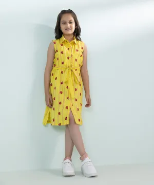 Embroidered Yarn Dyed Dress