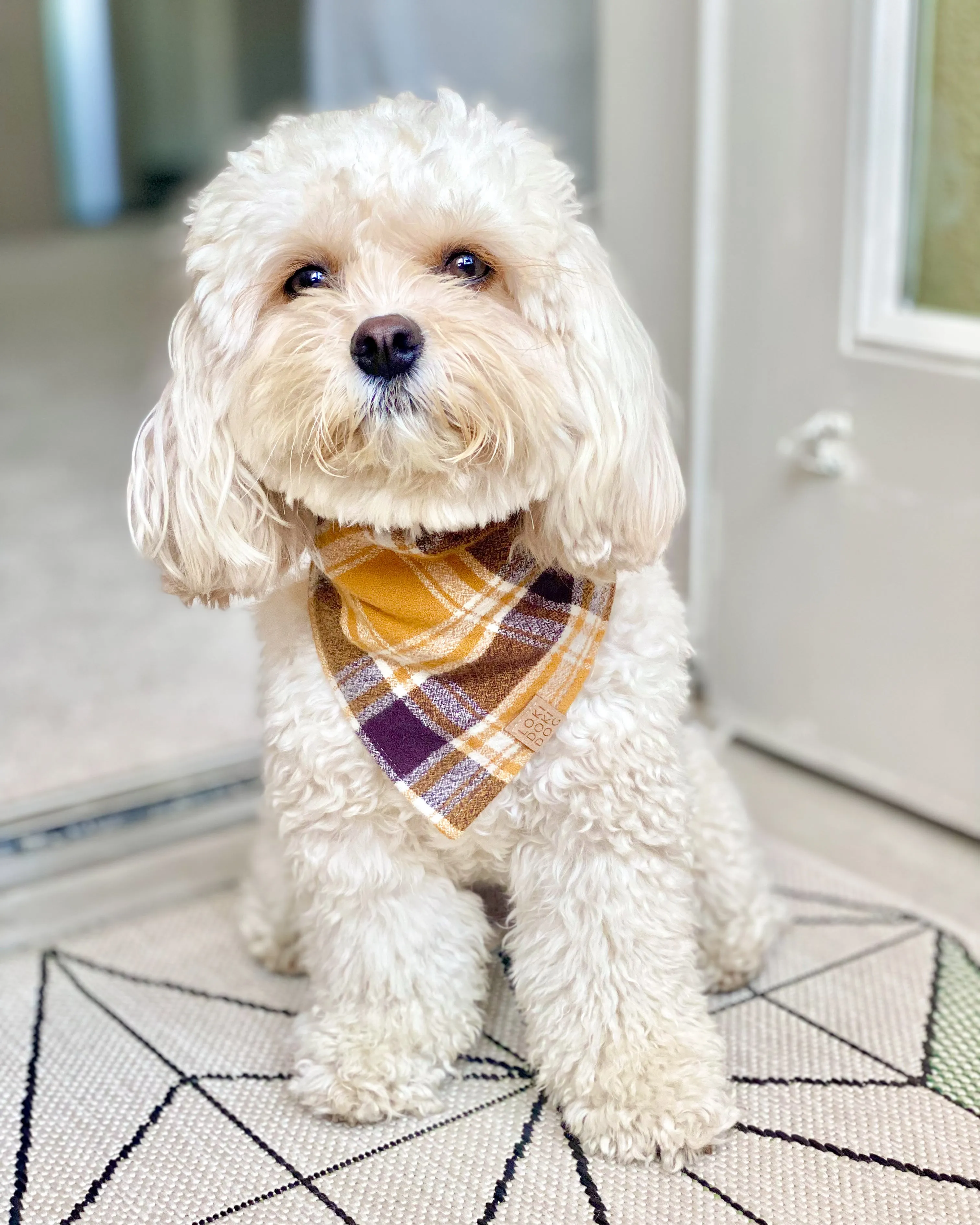 Golden Autumn Plaid Flannel Dog Bandana