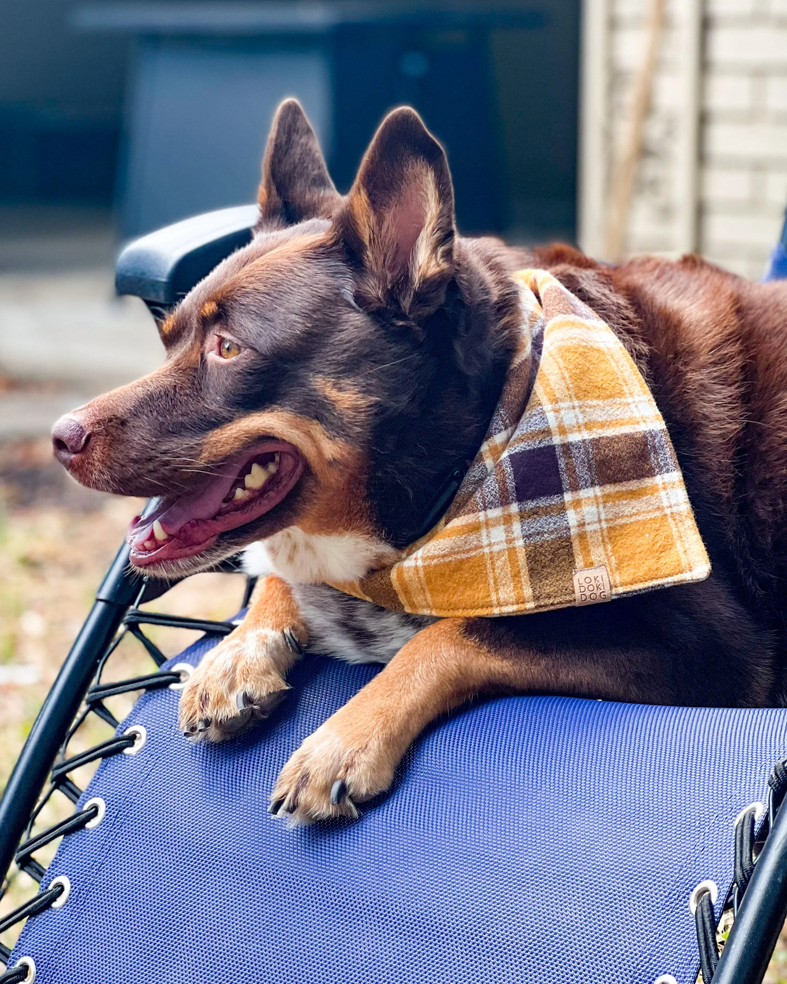 Golden Autumn Plaid Flannel Dog Bandana