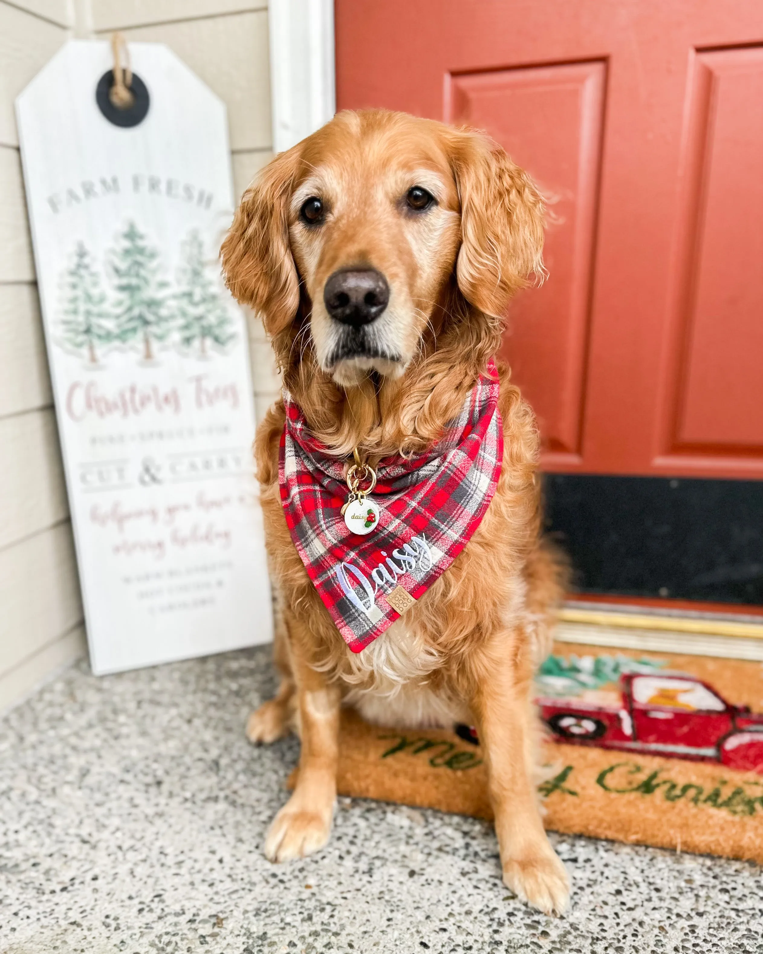 Kris Kringle Plaid Flannel Dog Bandana (Personalization Available)
