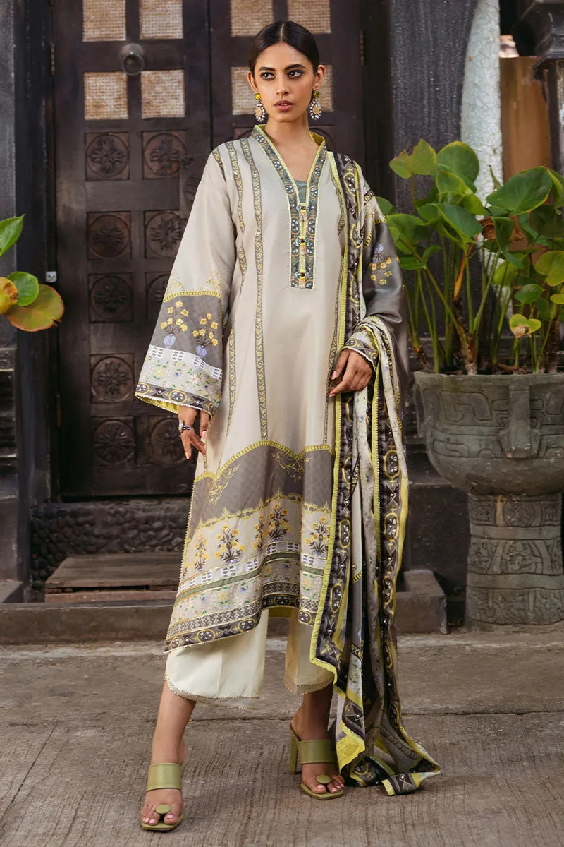 MUSHQ | NIRVANA 2024-SILK EDIT | CHESTNUT
