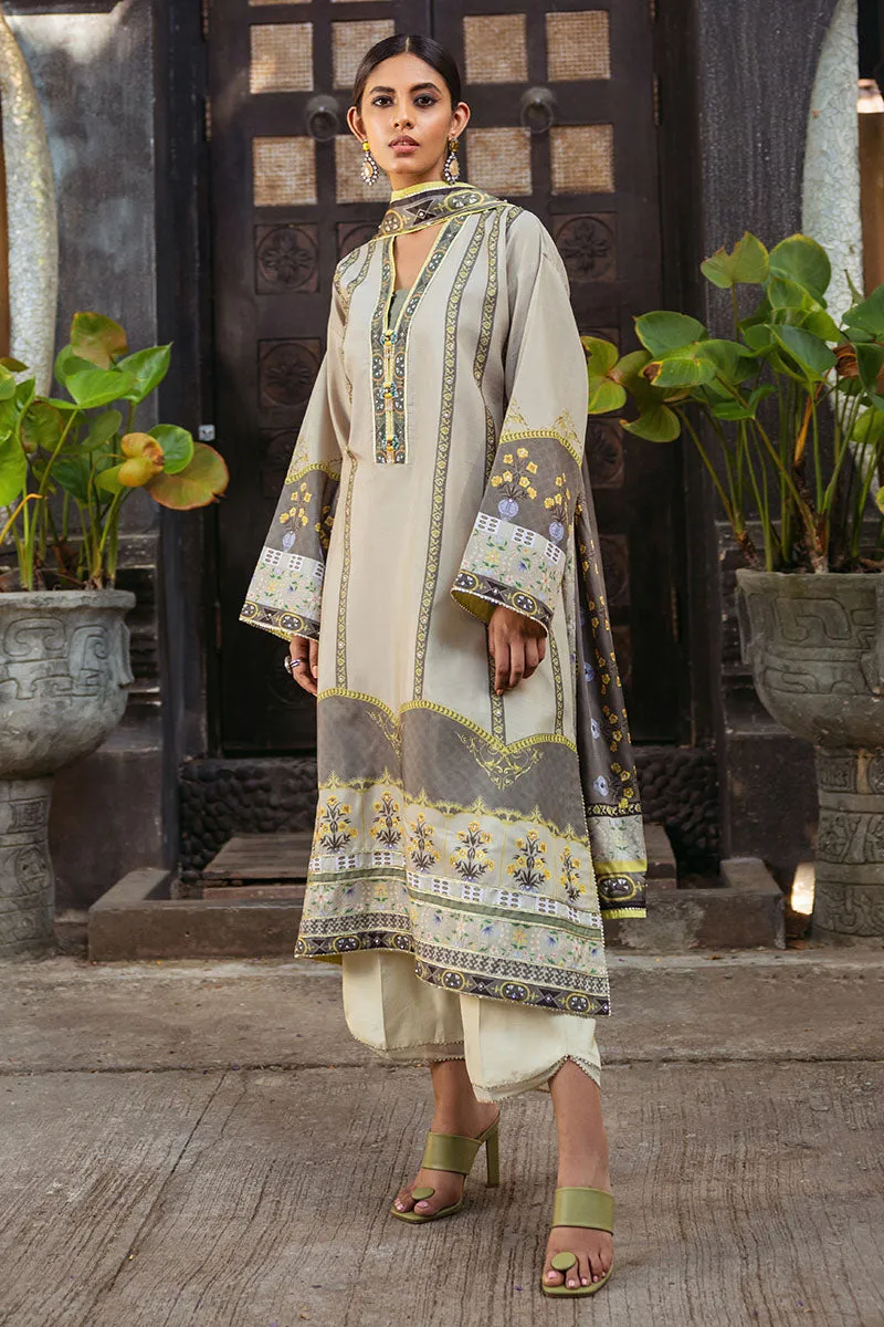 MUSHQ | NIRVANA 2024-SILK EDIT | CHESTNUT