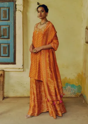 Ochre printed kurta and sharara set