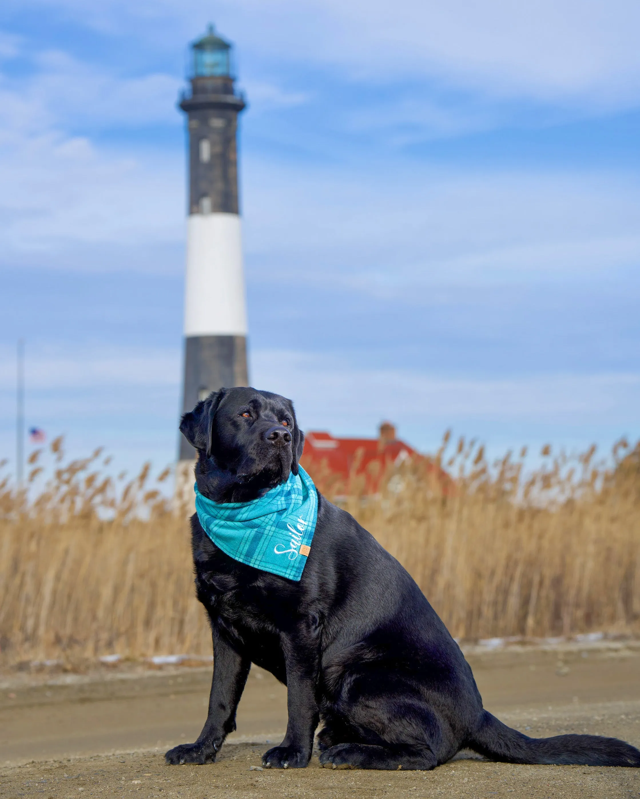 Pacific Blue Plaid Flannel Dog Bandana (Personalization Available)