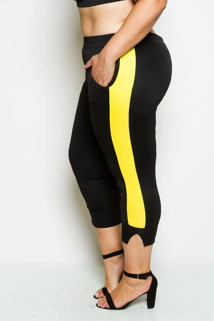 Plus Size Scuba Colorblock Capri Pants