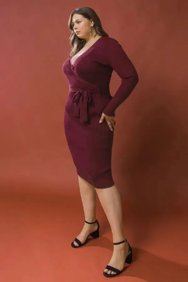 Plus Size Sweater Dress