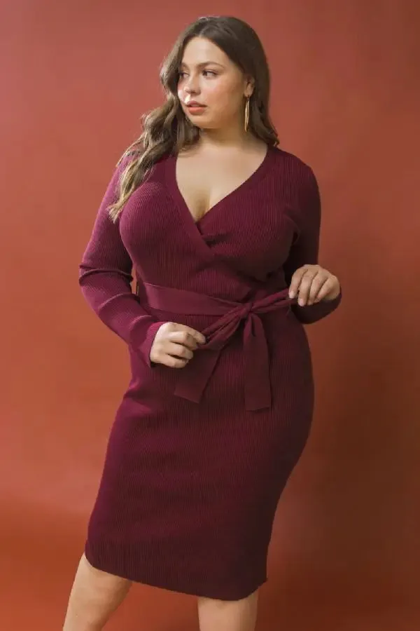 Plus Size Sweater Dress