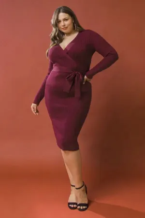 Plus Size Sweater Dress