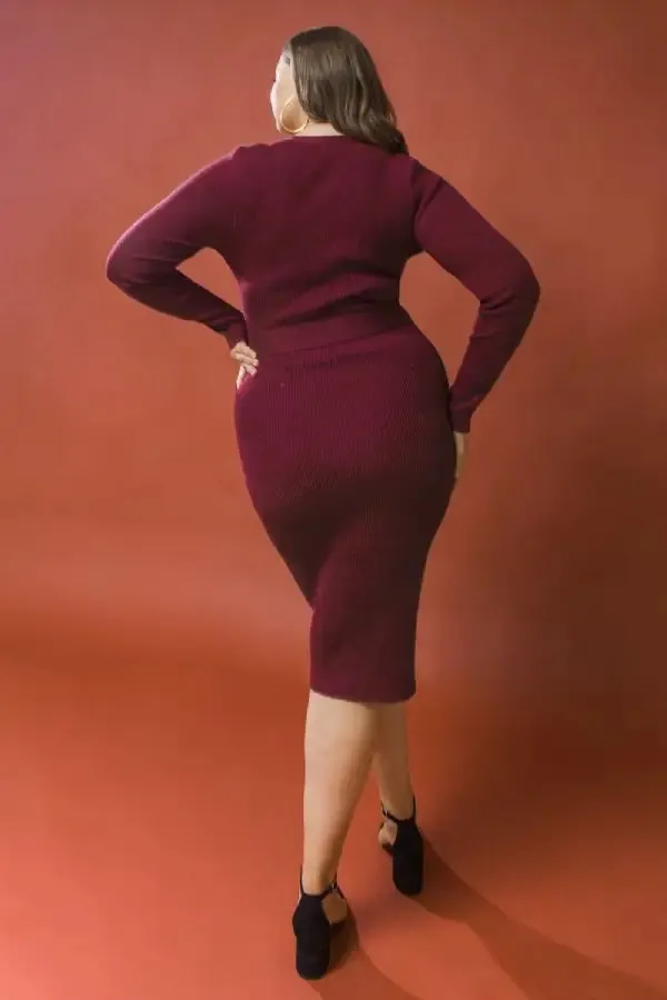 Plus Size Sweater Dress