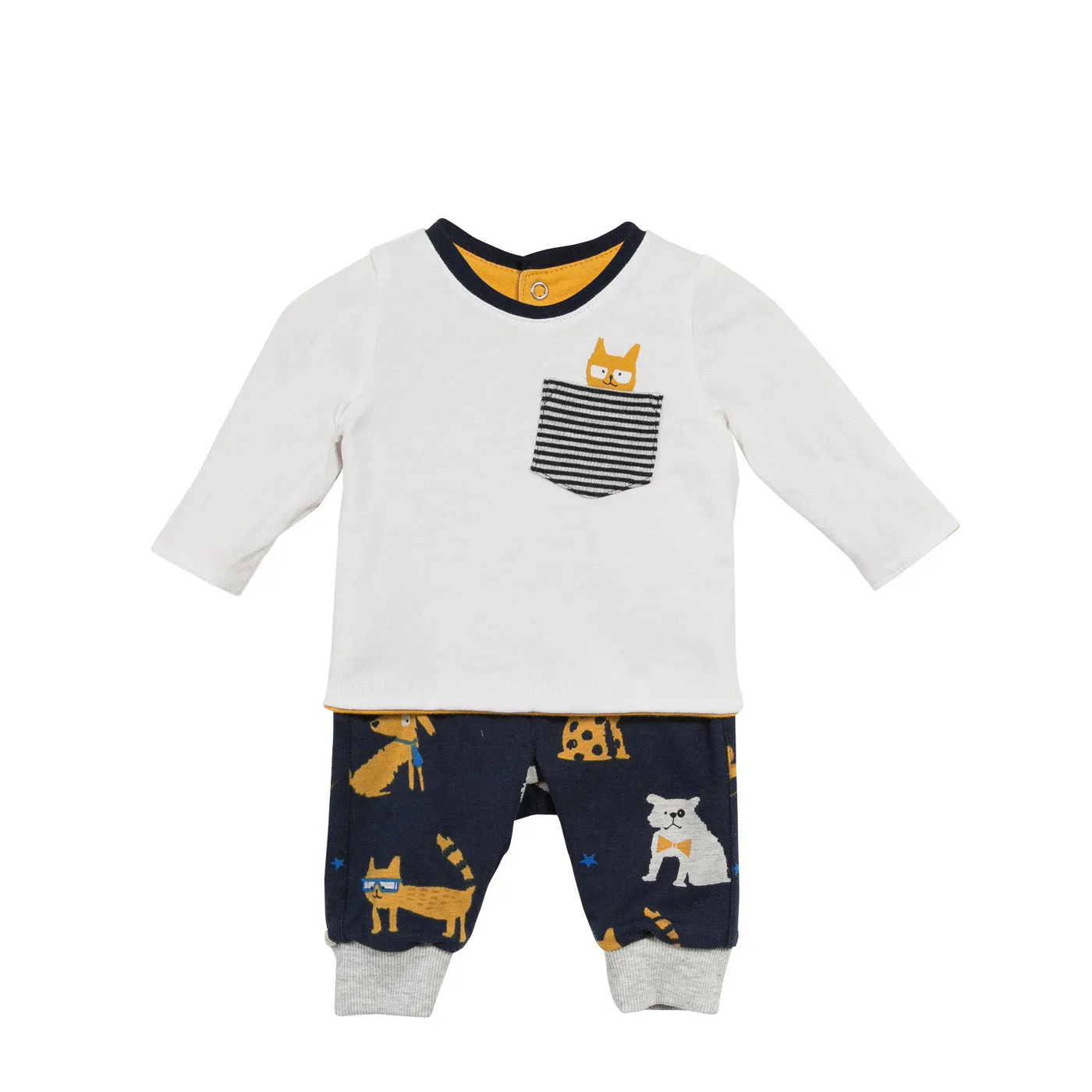 Reversible Doggie T-shirt   Pants Set