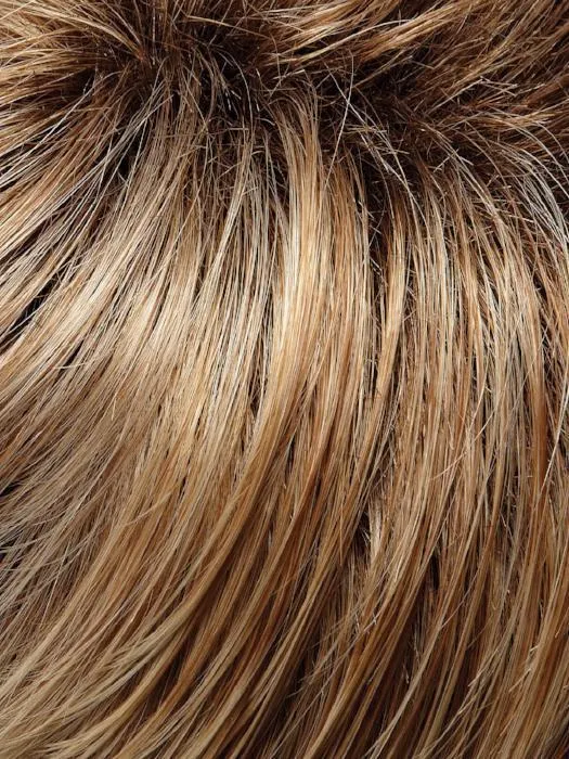 Rose by Jon Renau | Synthetic Lace Front Wig | CLOSEOUT