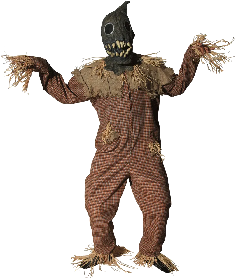 Scarecrow Costume
