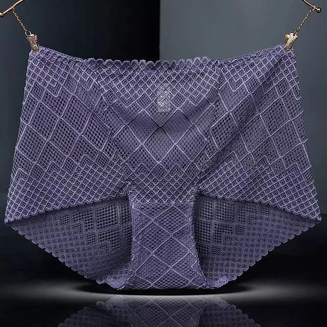Sexy Lace Mesh Silk Cotton Briefs