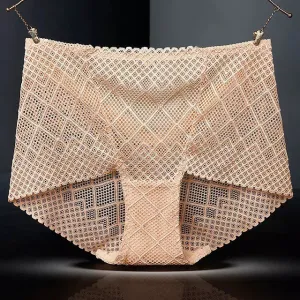 Sexy Lace Mesh Silk Cotton Briefs