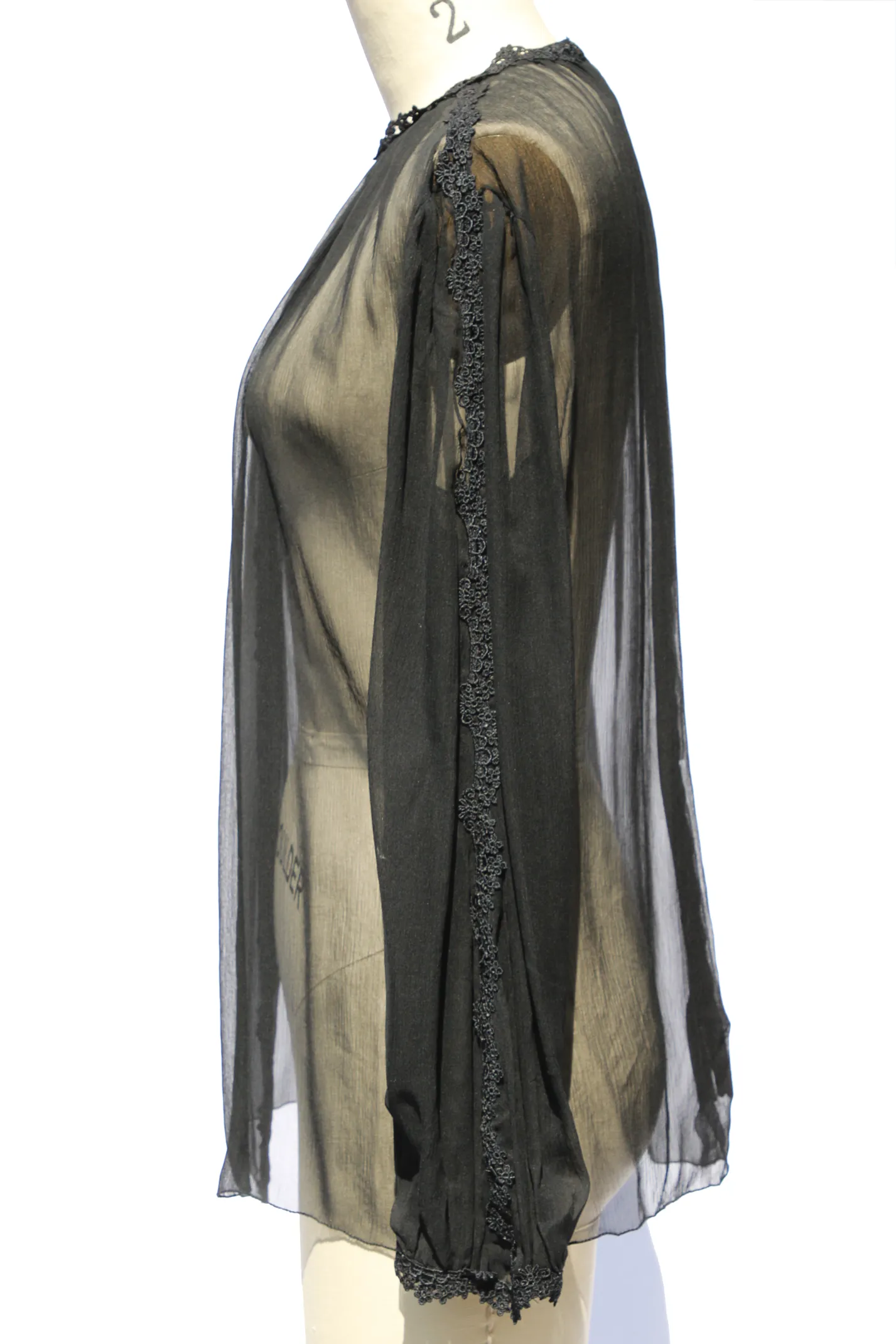 Sheer Crinkled Chiffon Blouse