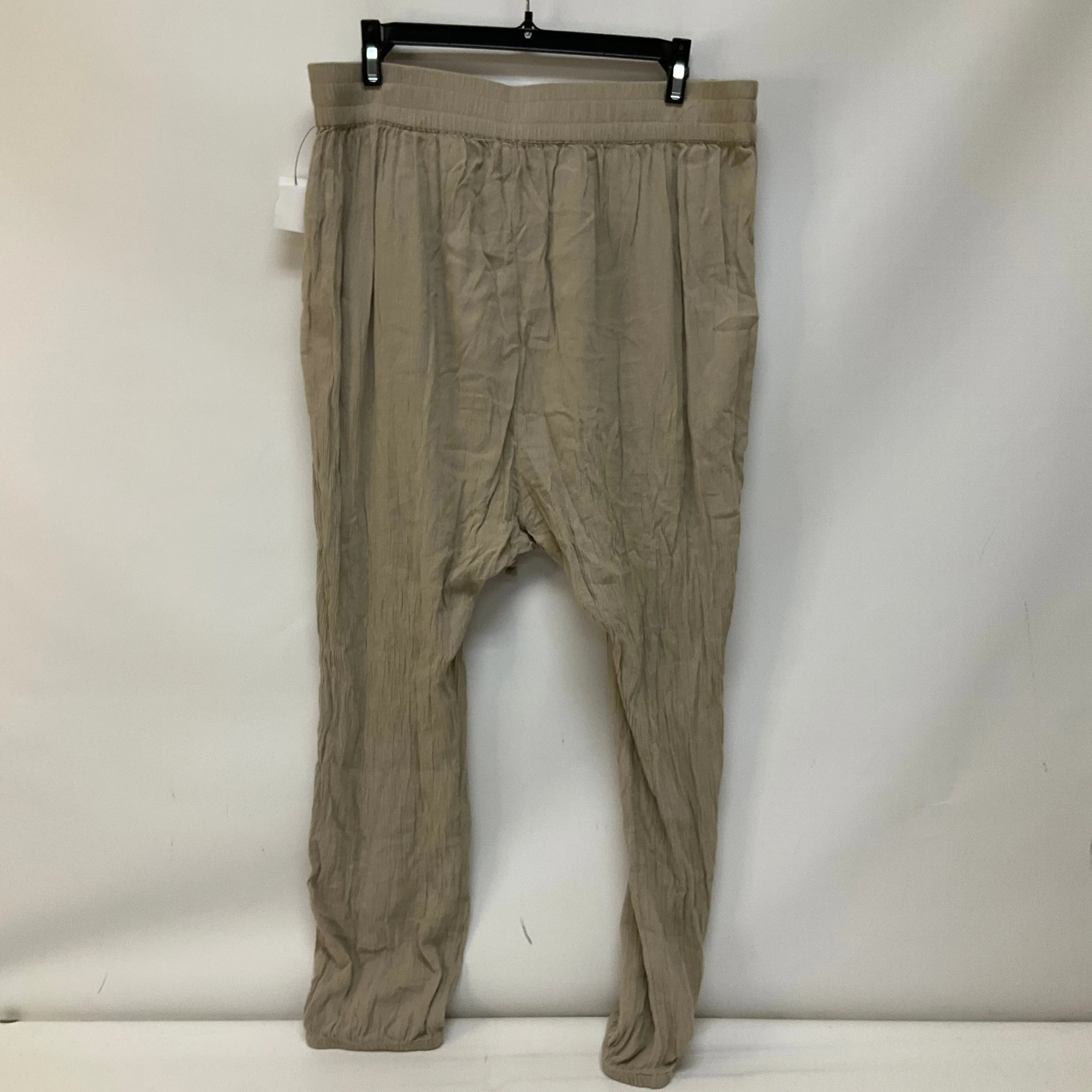 Tan Pants Linen Aerie, Size L