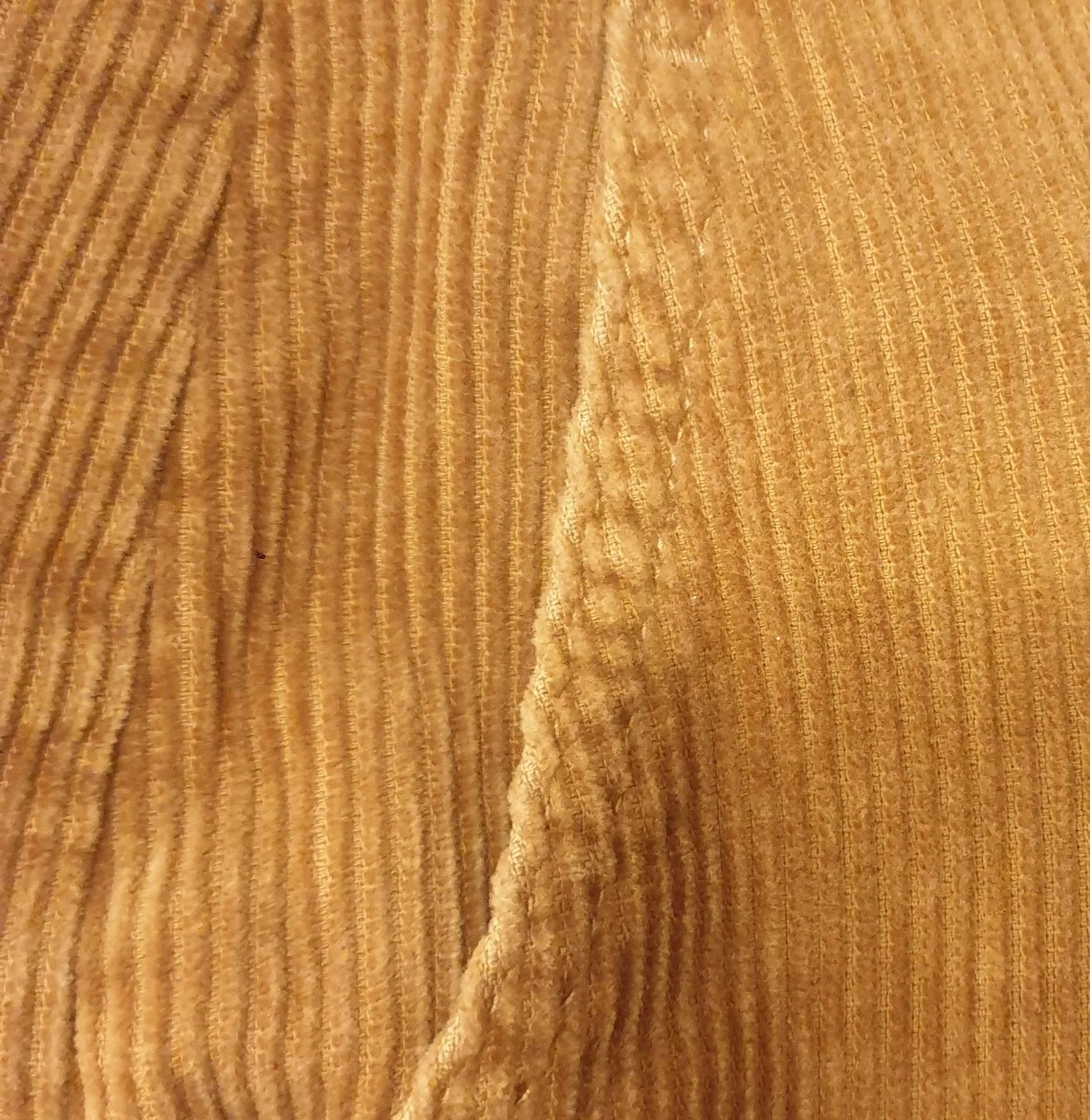 Uniqlo brown cord wide leg pants fits 10