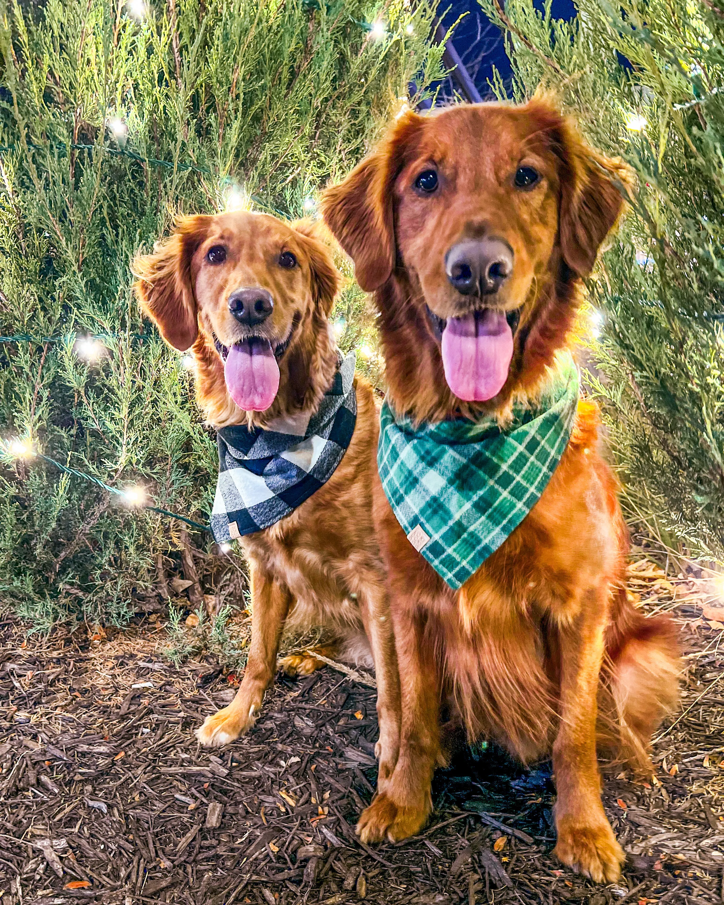 White Buffalo Plaid Flannel Dog Bandana (Personalization Available)