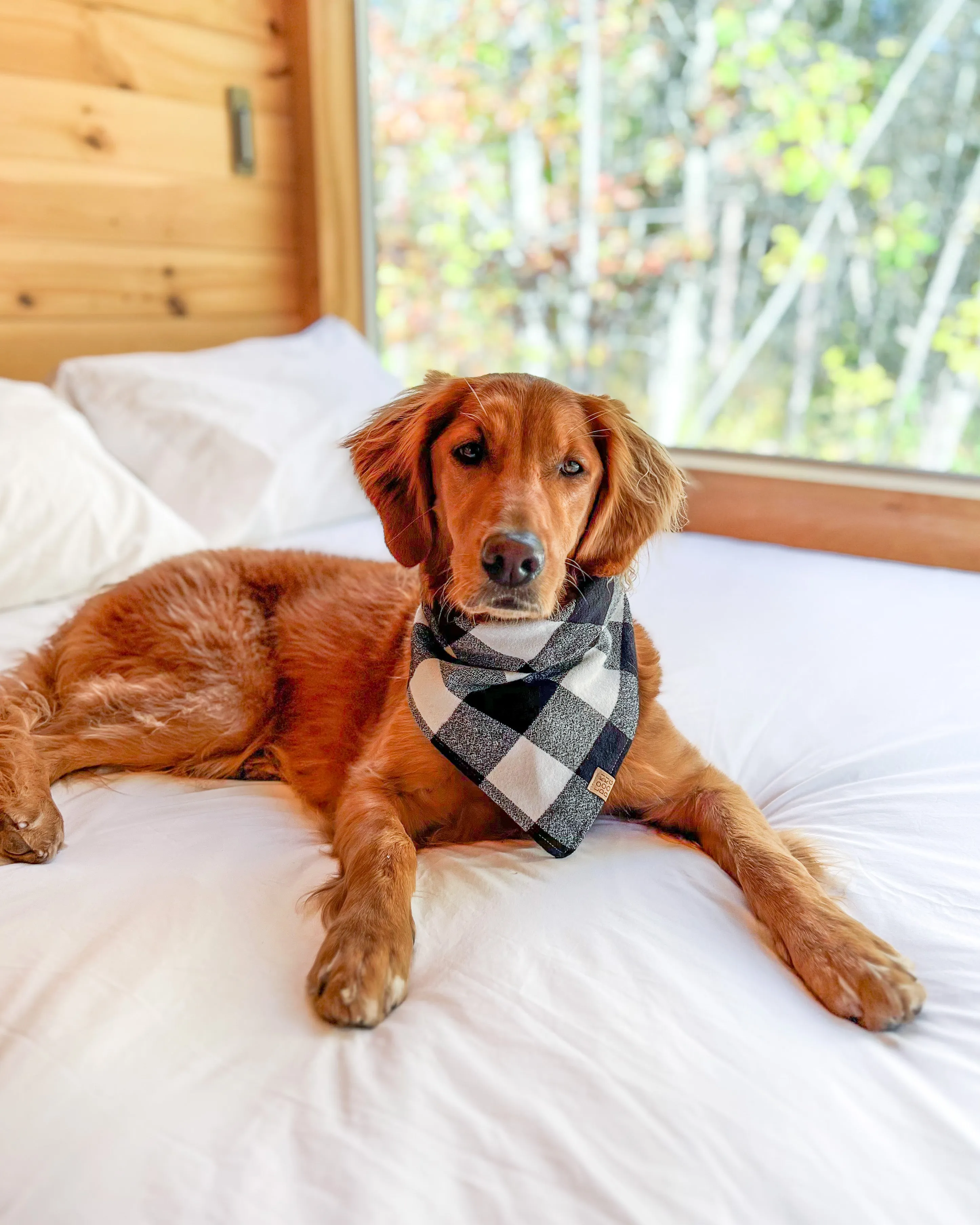 White Buffalo Plaid Flannel Dog Bandana (Personalization Available)
